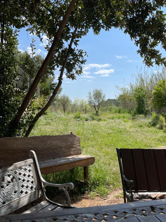 Casa Rural Con Jardin,A 8Km Playa Y En La Naturaleza Taronja&Canyella Ardenya Exterior foto