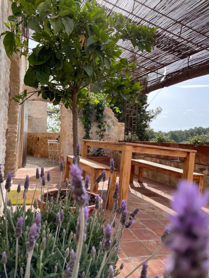 Casa Rural Con Jardin,A 8Km Playa Y En La Naturaleza Taronja&Canyella Ardenya Exterior foto