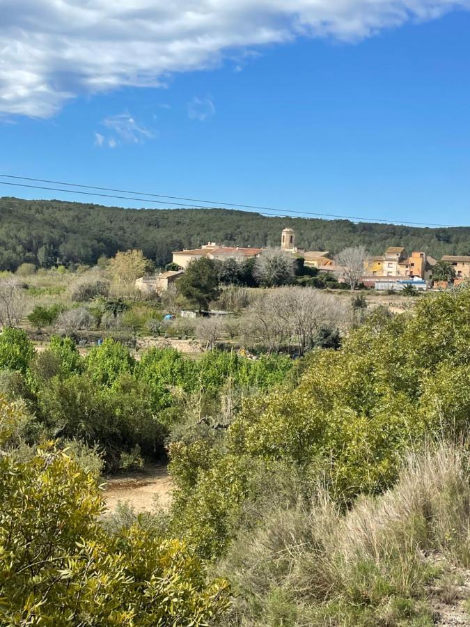 Casa Rural Con Jardin,A 8Km Playa Y En La Naturaleza Taronja&Canyella Ardenya Exterior foto