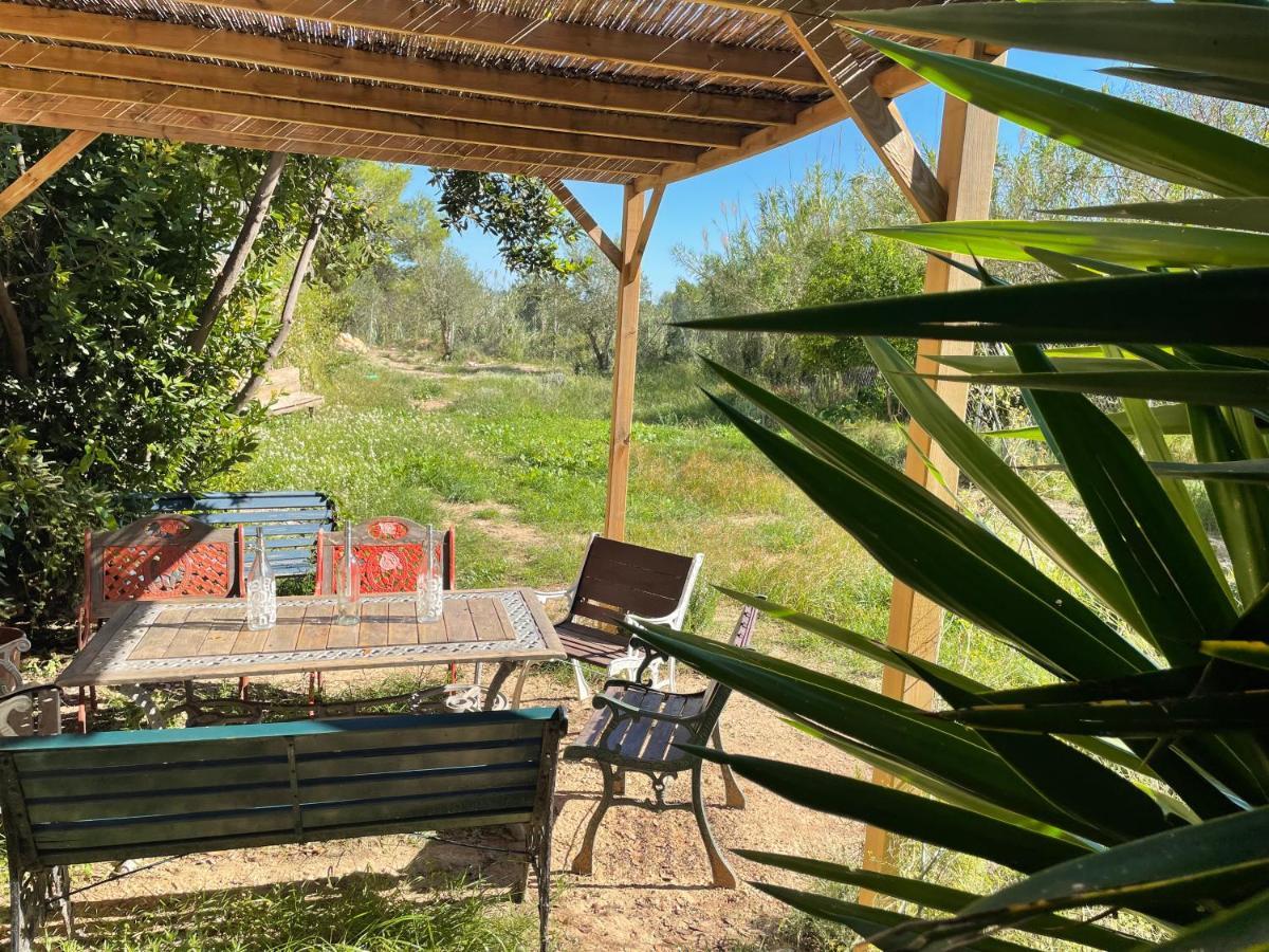 Casa Rural Con Jardin,A 8Km Playa Y En La Naturaleza Taronja&Canyella Ardenya Exterior foto