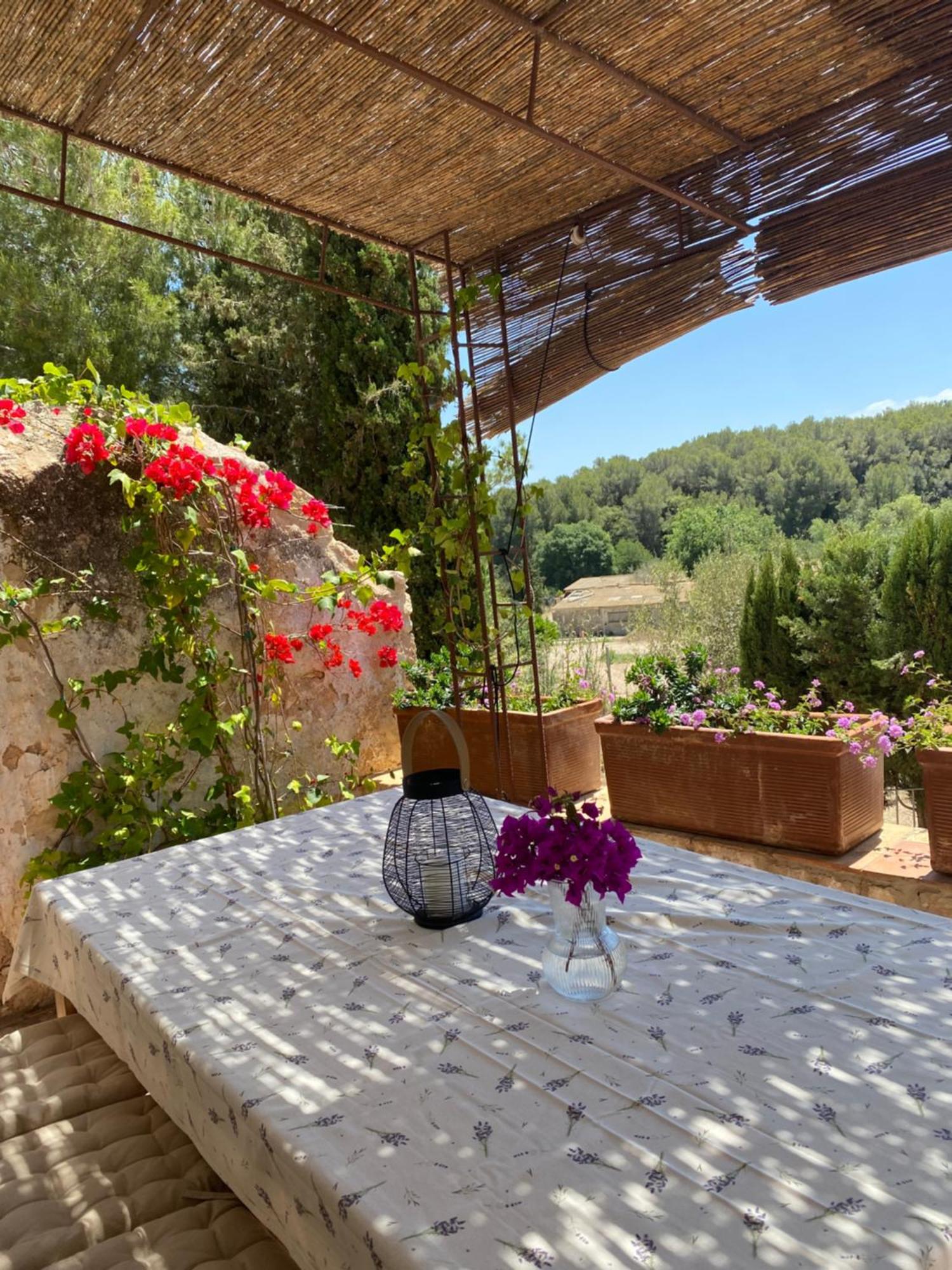 Casa Rural Con Jardin,A 8Km Playa Y En La Naturaleza Taronja&Canyella Ardenya Exterior foto