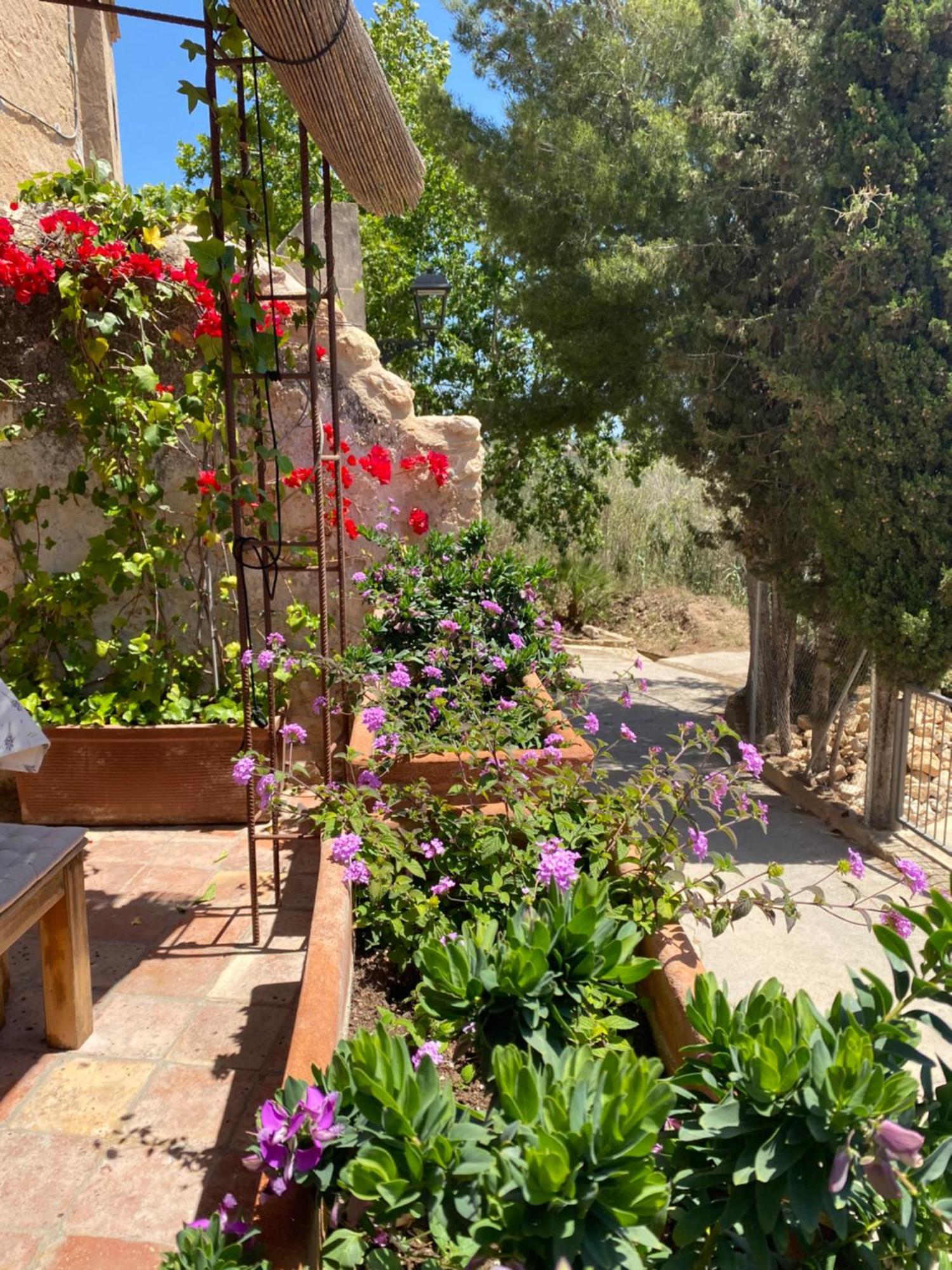 Casa Rural Con Jardin,A 8Km Playa Y En La Naturaleza Taronja&Canyella Ardenya Exterior foto