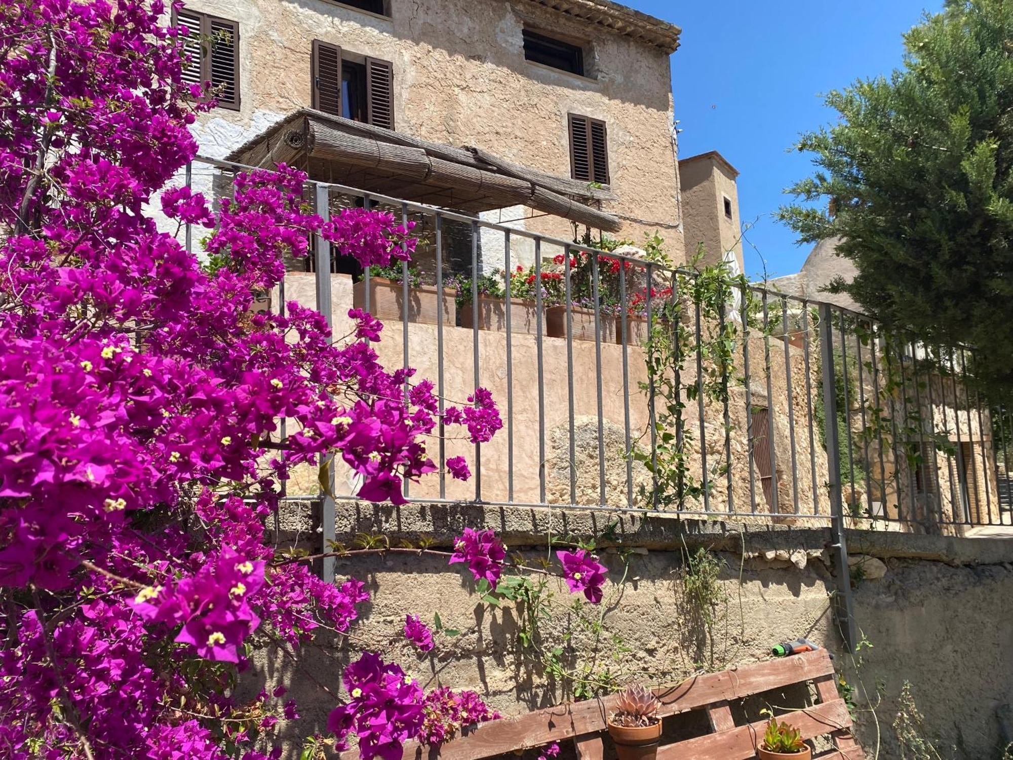 Casa Rural Con Jardin,A 8Km Playa Y En La Naturaleza Taronja&Canyella Ardenya Exterior foto